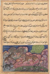 Page des Contes d