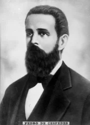 Pedro de Cespedes