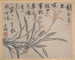 Plantes et légumes, daté 1740