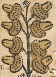 Carte à jouer