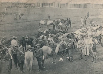 Cheval de Plumer, c1900