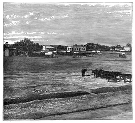 Potchefstroom, Transvaal, Afrique du Sud