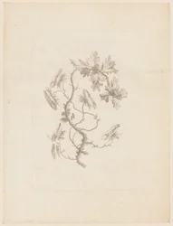 Gravure