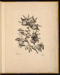 Gravure (France)