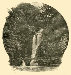 Chutes de Pyrddin, vallée de Neath, 1898