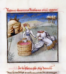 Reine Tomyris. De : Speculum Humanae Salvationis Miroir du Salut Humain par Ludolph de Saxe