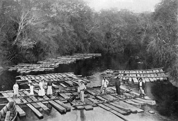 Radeaux sur la rivière Tebicuary-mi, Paraguay, 1911