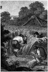 Moisson avec faucilles et liage des gerbes, Angleterre, vers 1800