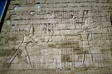 Relief de Ramsès III frappant des ennemis, Temple mortuaire de Ramsès III, Medinat Habu