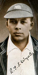 Robert Elliot Storey Wyatt, Quiet Wyatt, joueur de cricket