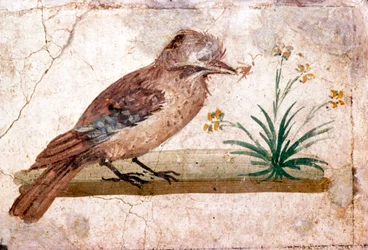 Peinture murale romaine de Jay de Boscoreale près de Pompéi, 1er siècle
