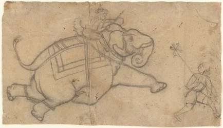 Éléphant Courant recto, Feuille de Pratique de Croquis d