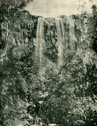 Chutes de Sailors Creek, Daylesford, 1901