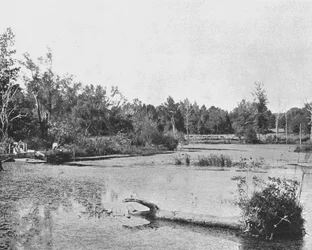 Scène au Mississippi, USA, vers 1900