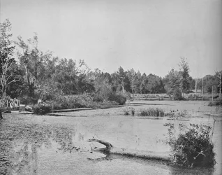 Scène au Mississippi