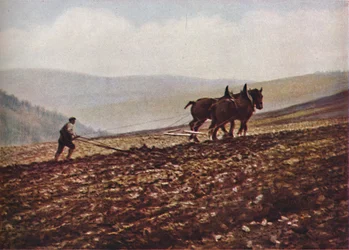 Écosse
