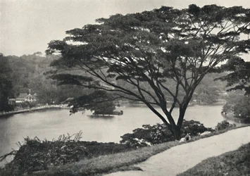Voir, Temple de la Dent Sacrée et Bibliothèque à Kandy, vu du Victoria-Drive vers l