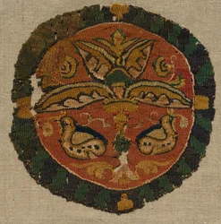 Segmentum d