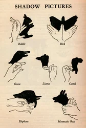 Images d