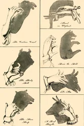 Ombres chinoises et silhouettes, 1883