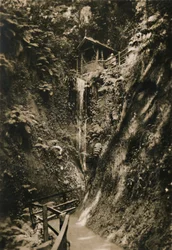 Shanklin Chine, I.W., vers 1920