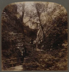 Shanklin Chine de renommée mondiale, Île de Wight, Angleterre, vers 1910