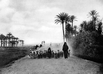 Garder des moutons près du Caire, Égypte, vers 1920