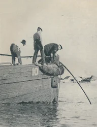 Extrémité du rivage d