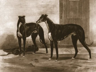 Simonian et Fullerton, vers 1891, 1911
