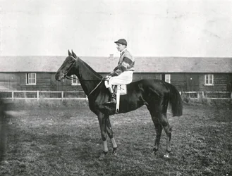 Gratte-ciel, 1911