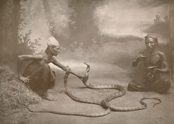 Charmeurs de serpents avec hamadryades Kuy Cobras, 1900