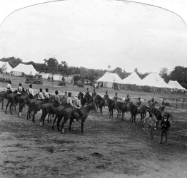 Journée sportive à Narsampet, Inde, 1905