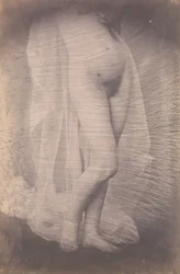 [Femme nue debout], vers 1856