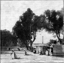Scène de rue avec la colonne de Pompée au loin, Alexandrie, Égypte, 1900
