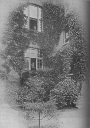 Été aux Pins, vers 1909, 1934
