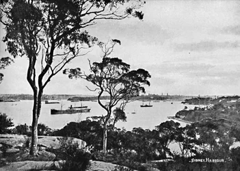 Port de Sydney, depuis Cremorne Point, vers 1900