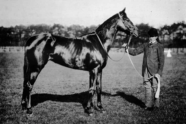 Thaïs, 1911