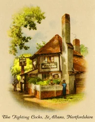 Les coqs de combat, St. Albans, Hertfordshire, 1936