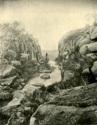 La Gorge, Chutes de Buffalo, Alpes victoriennes, 1901