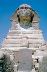 Le Grand Sphinx de Gizeh, plateau de Gizeh, Égypte