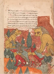 La lionne conseille son fils, Folio de Kalila wa Dimna