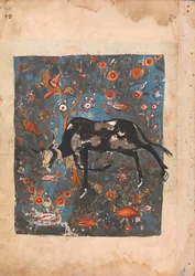 Le bœuf Shanzabeh laissé derrière, broutant dans le territoire du roi lion, 18e siècle