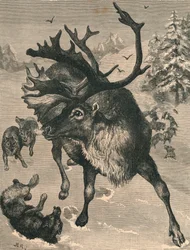 Le Renne, 19e siècle