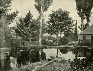 Les étangs à saumon, New Norfolk, 1901
