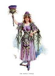 Le Chardon écossais, 1899