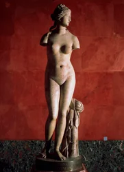 La Vénus de Tauride ou Vénus de Tauris, 2ème siècle après J.-C.