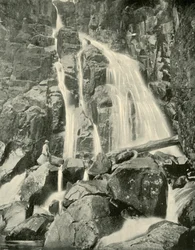 Les chutes de Wellington, Mont Wellington, 1901