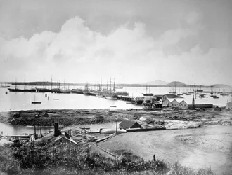 Le port, Auckland, Nouvelle-Zélande, vers 1870-1880