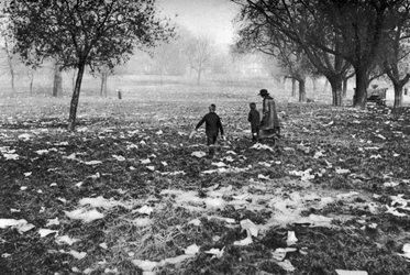Les déchets laissés sur Hamstead Heath après un jour férié, Londres, 1926-1927