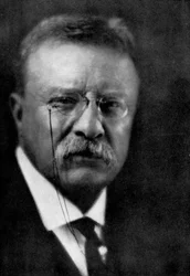 Theodore Roosevelt, 26e président des États-Unis, 1933